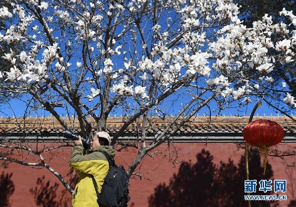 (新華全媒頭條·圖文互動)(12)譜寫首都發展新篇章——以習近平同志為核心的黨中央關心推動首都發展紀實